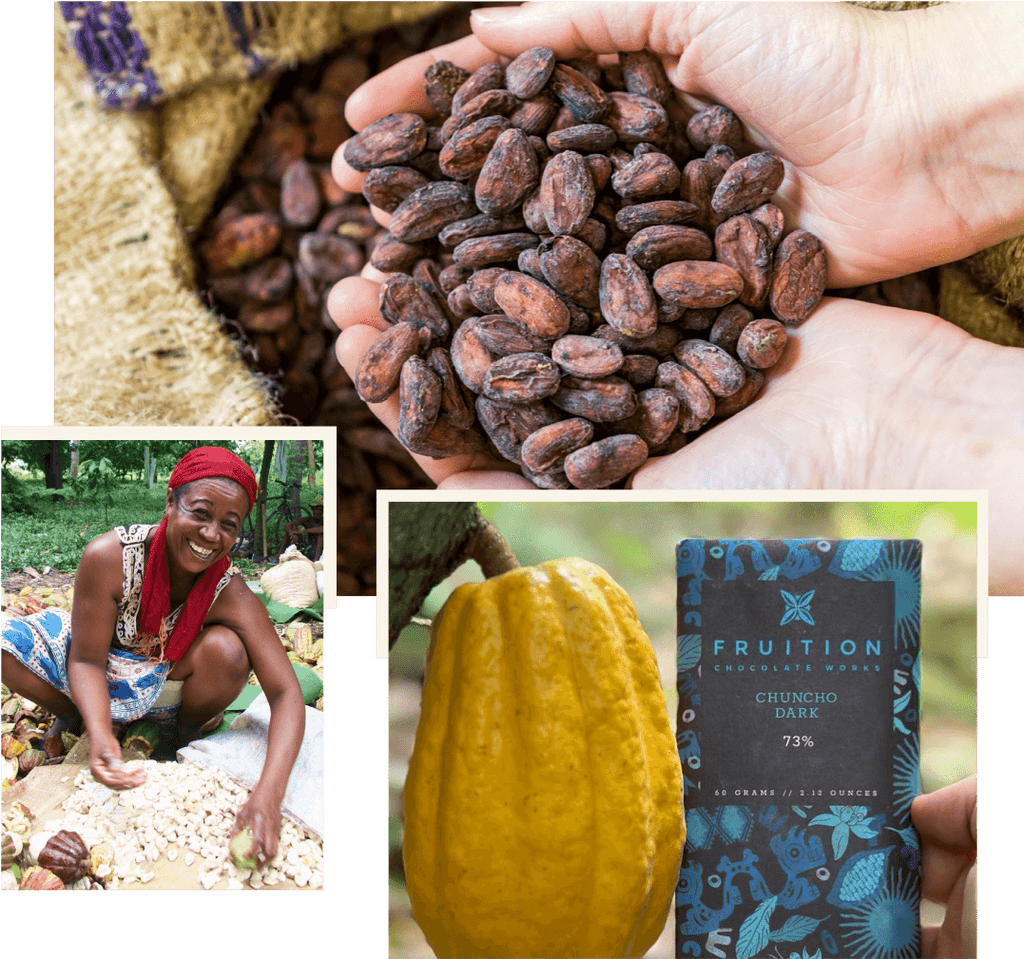 Cacao Origins