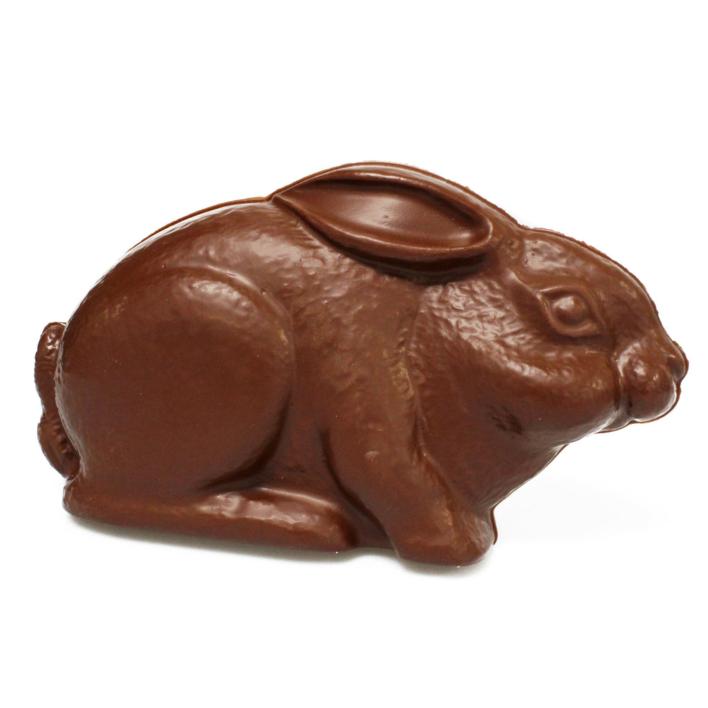 a realistic looking milk chocolate easter bunny, sitting